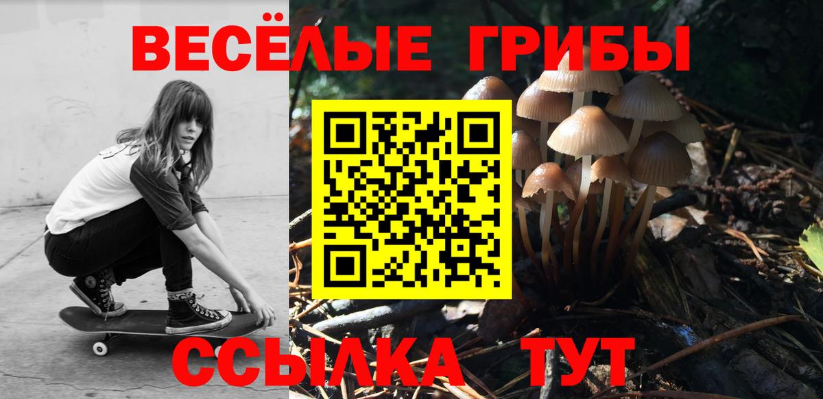 Архангельск  купить наркотик  Вход с VPN  Псилоцибиновые грибы Magic Shrooms 
